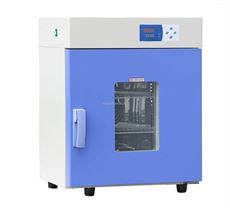 电热恒温鼓风干燥箱
