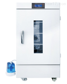 RDN-400DLED型顶置人工气候箱 